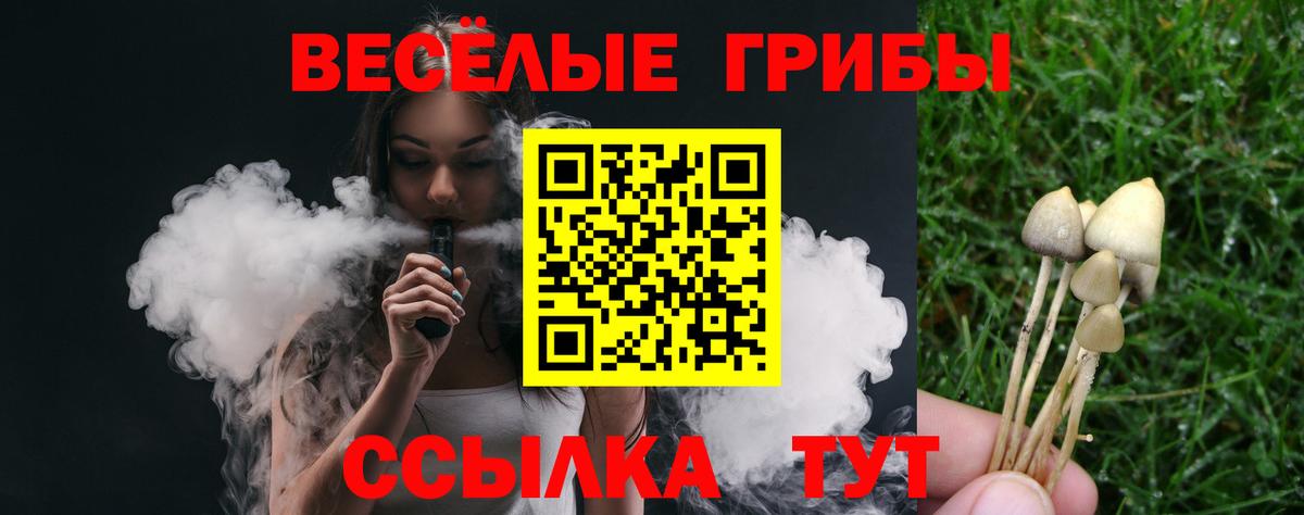 Псилоцибиновые грибы мицелий  Вход с VPN  Галлюциногенные грибы ЛСД  Махачкала 
