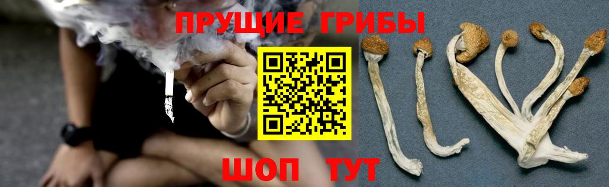 Галлюциногенные грибы мицелий Махачкала